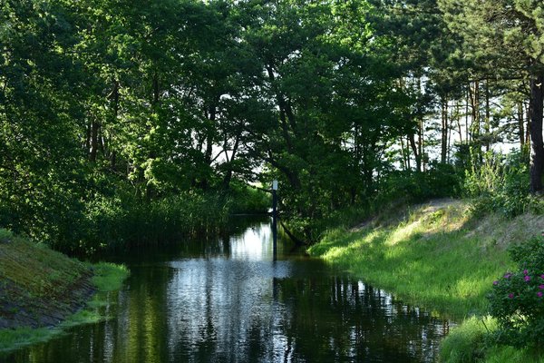 Famille et maintien à domicile : comment bien gérer ?