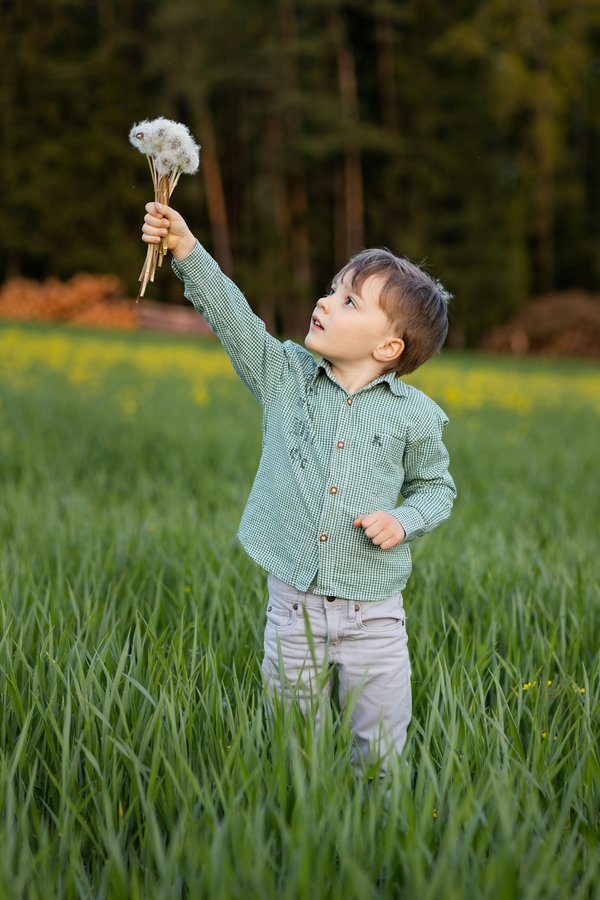 Les dernières recherches sur la maladie de Lyme
